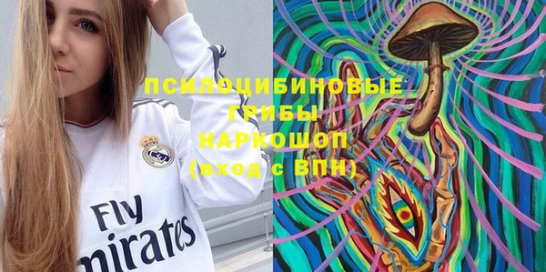 прущие крисы Няндома