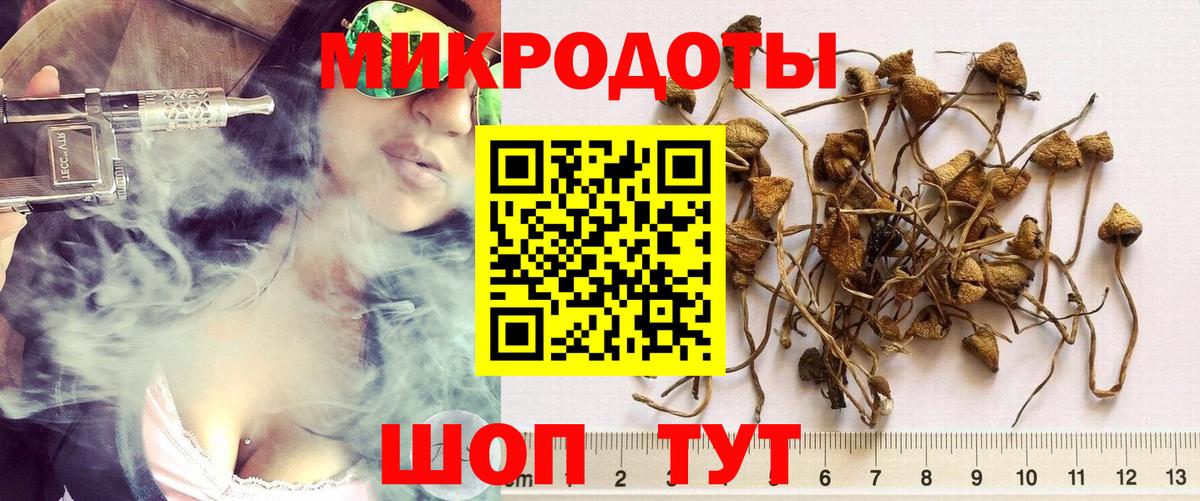 Псилоцибиновые грибы Psilocybine cubensis  Вход с VPN  Кореновск 