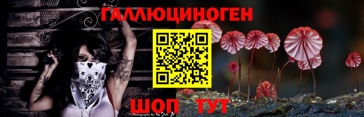 Псилоцибиновые грибы Cubensis Кореновск